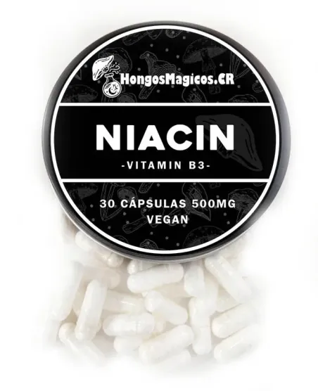 Niacina (Vitamina B3) – Potencia Vascular