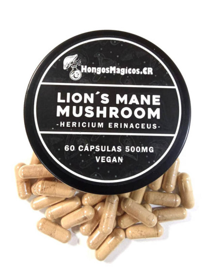 Lion’s Mane – Enfoque y Concentración