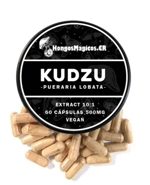 Kudzu | Apoyo natural para dejar el alcohol y la nicotina