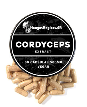 Cordyceps (Cordyceps sinensis) – 60 cápsulas | Energía y resistencia