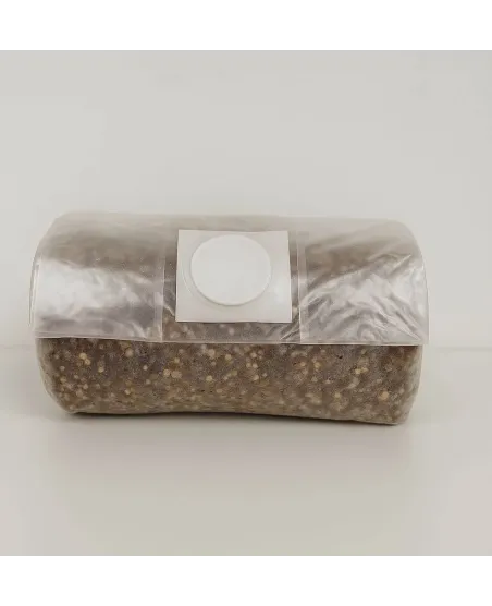 Sustrato estéril para micelio – 1300 g