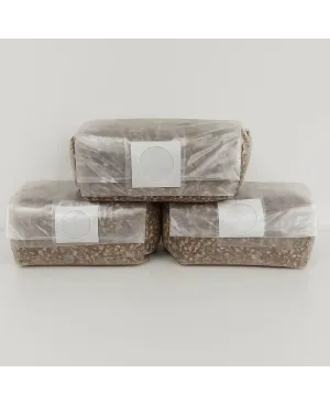 Pack 3 Sustratos Micológicos Estériles 1300g – Cultivo de Hongos en Casa