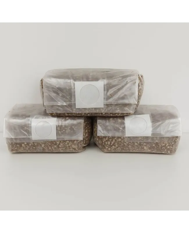 Pack 3 Sustratos Micológicos Estériles 1300g – Cultivo de Hongos en Casa Pack 3 Sustratos Micológicos Estériles 1300g – Cultivo de Hongos en Casa
