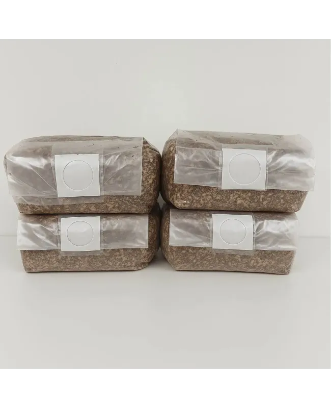 Set de 4 Sustratos Estériles para Micelio – Ideal para Cultivo de Hongos en Casa Set de 4 Sustratos Estériles para Micelio – Ideal para Cultivo de Hongos en Casa