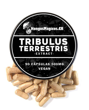 Tribulus Terrestris – 90 cápsulas | Testosterona y rendimiento físico